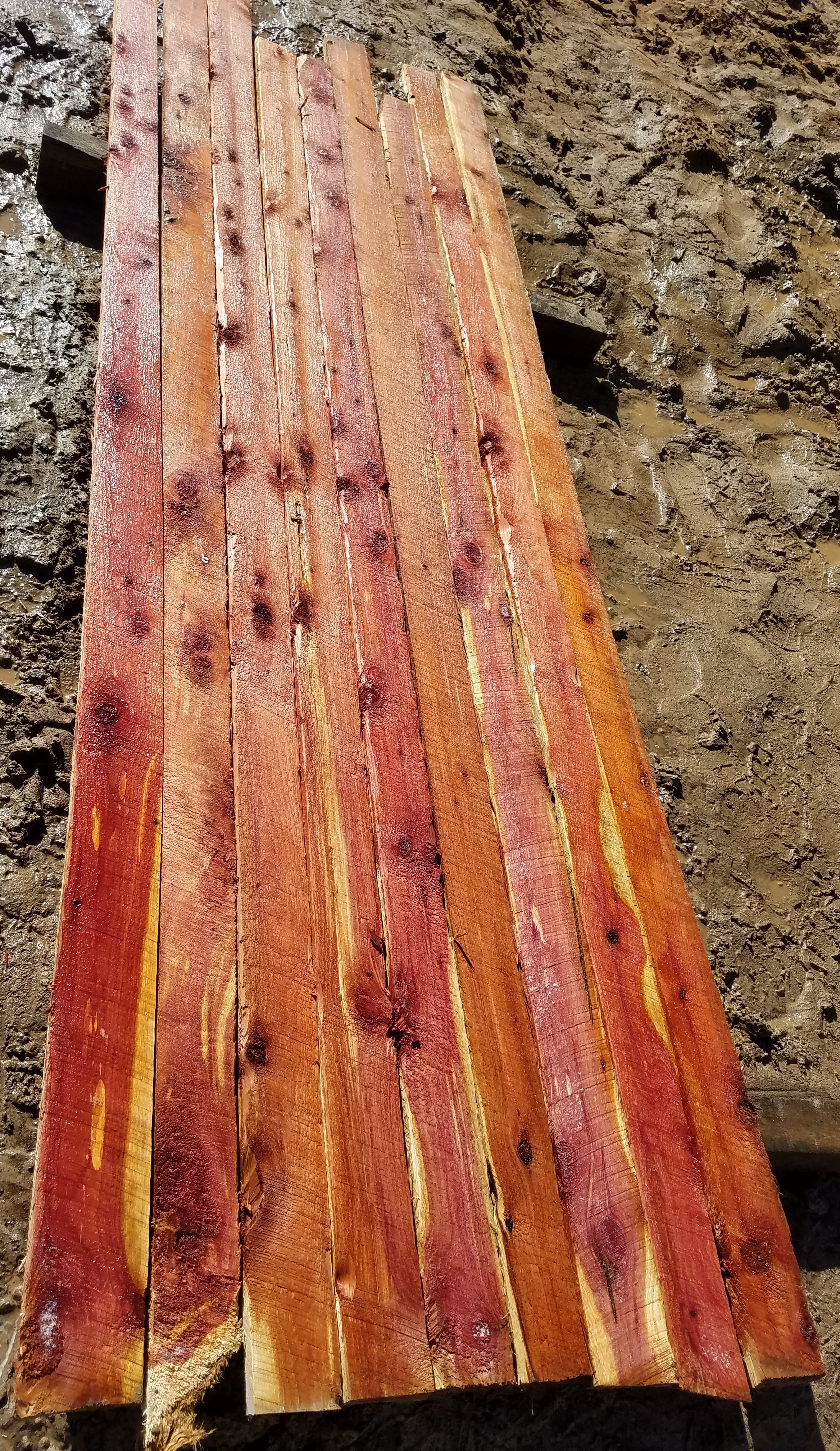 Rendezvous melodisk Afhængig Eastern Red Cedar 1"x 3"x 8' 8" - 9 Board Bundle