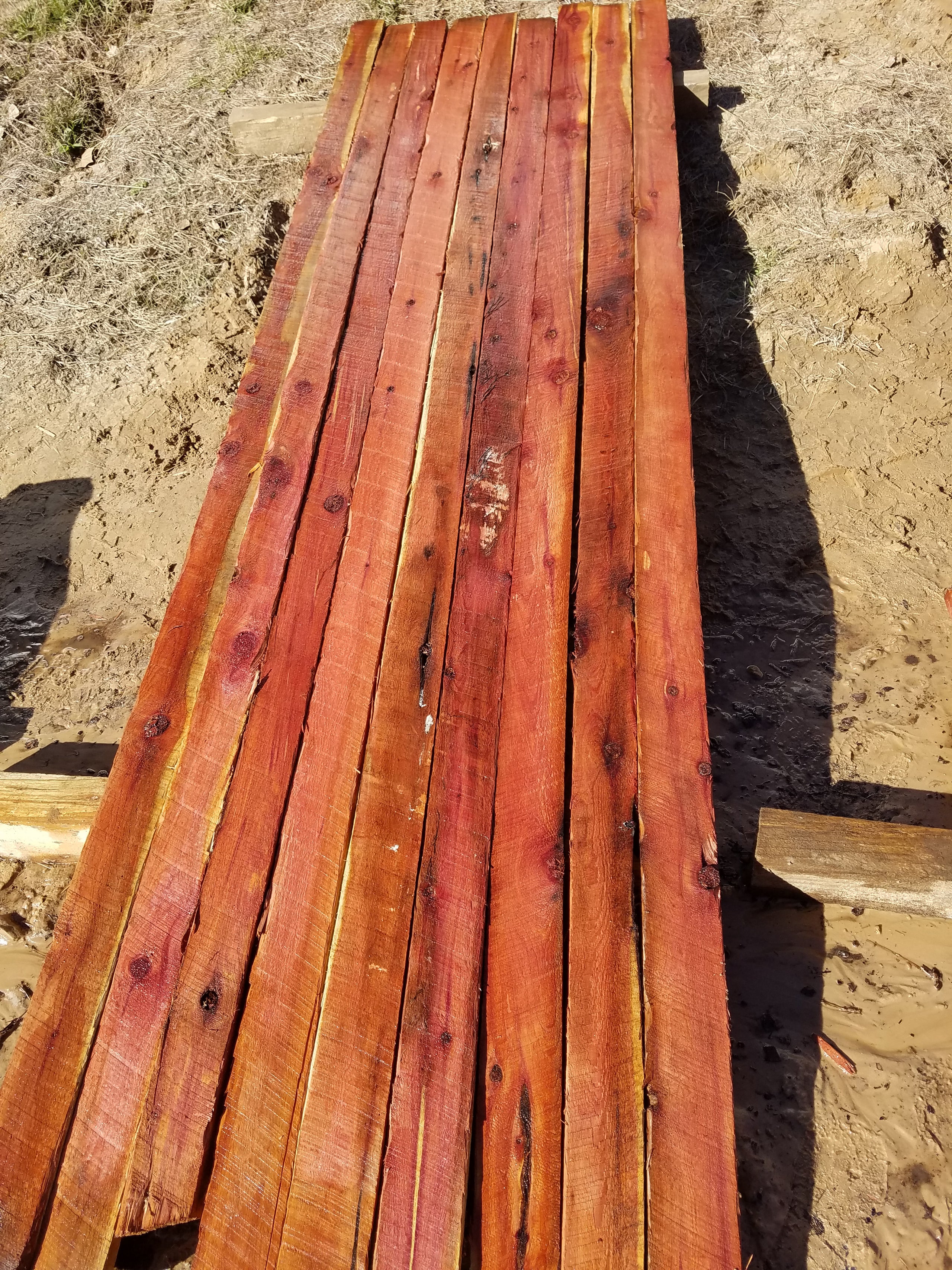 Praktisk Legeme gips Eastern Red Cedar 1"x 3 1/2"x 9' 3" - 9 Board Bundle