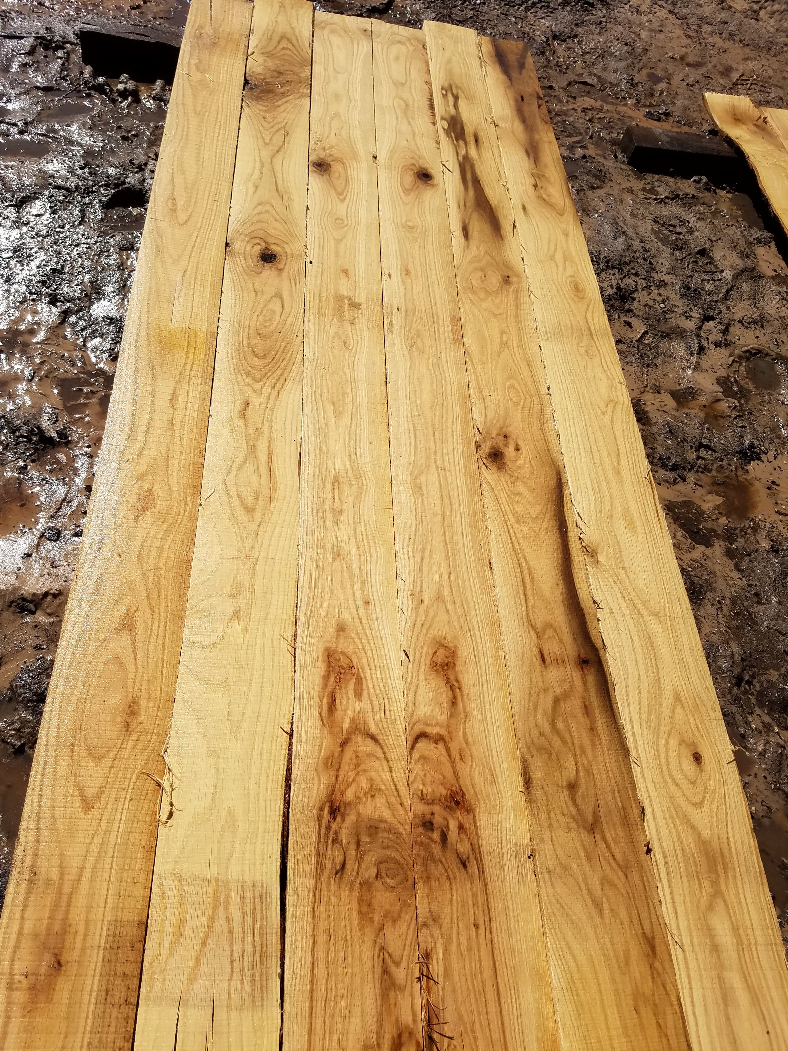 White Oak Thin Stock Lumber Boards Wood Crafts 1/2 x 6 x 48