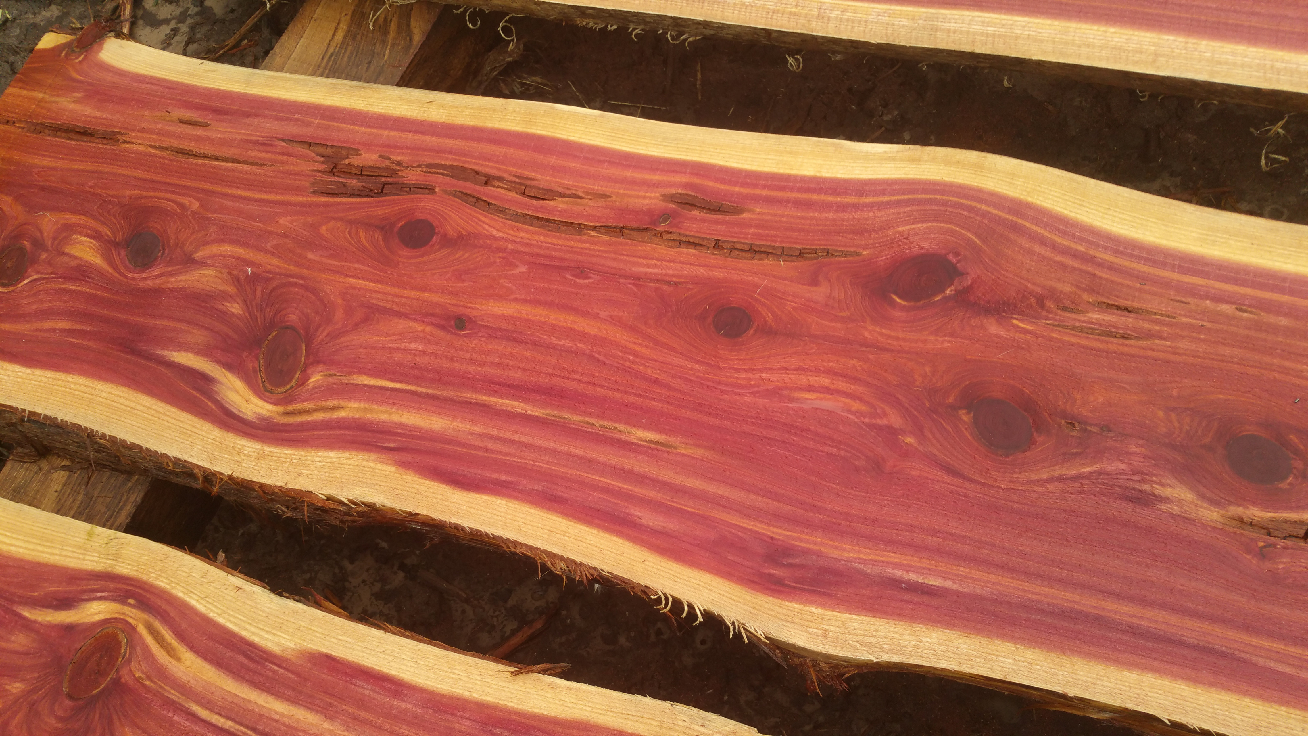 Eastern Red Cedar Live Edge Plank - 2x 12- 15 1/2x 8' 6