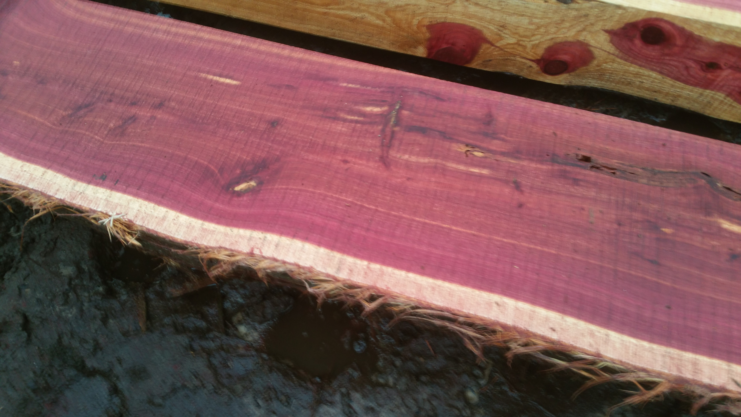 Eastern Red Cedar Mantel - 5 5/8x 11 1/4x 7' 11