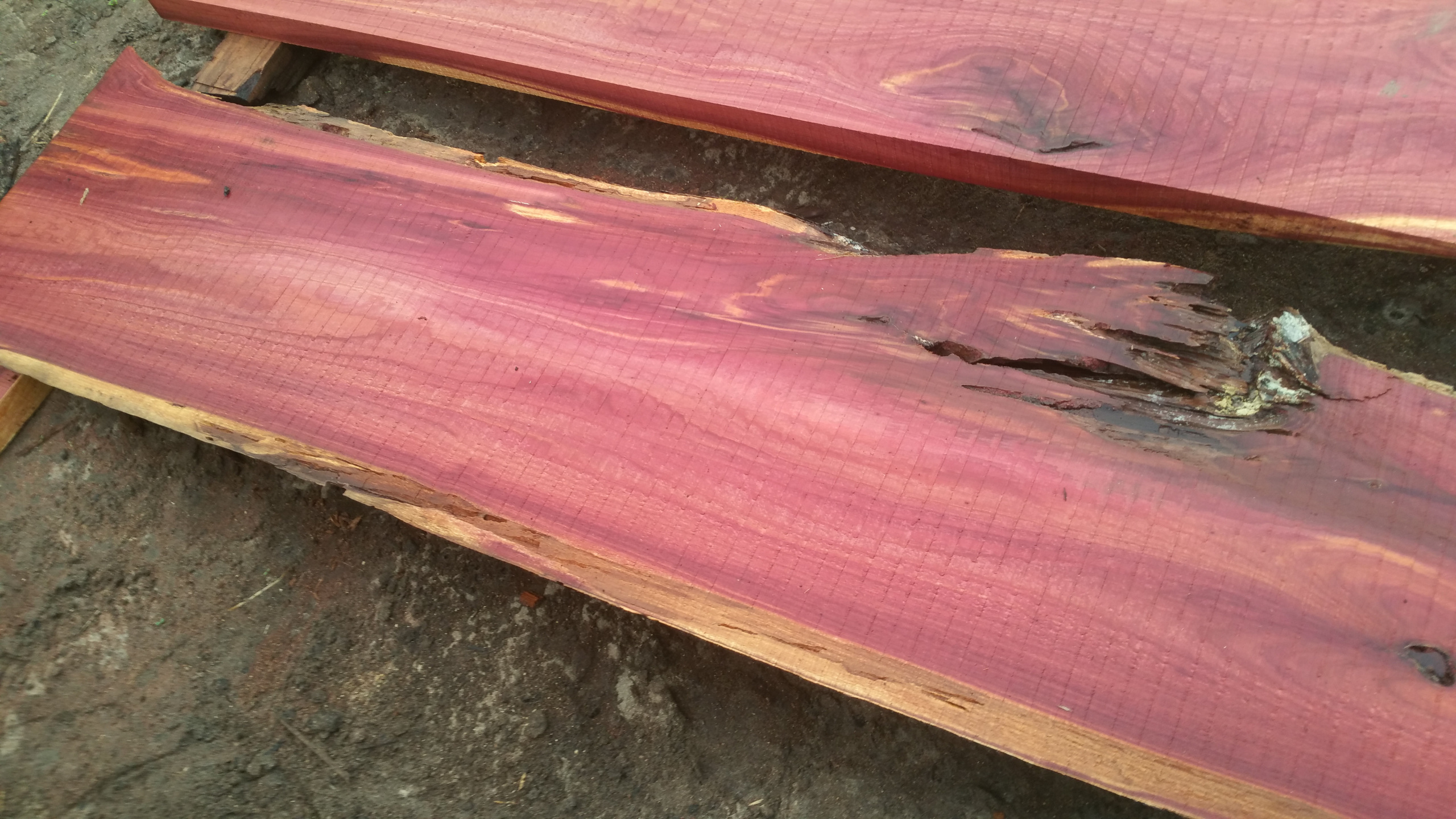 Raw Planed Red Cedar Plank Board 11.5” by 12” live edge